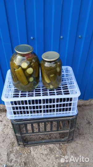 Соленья домашние