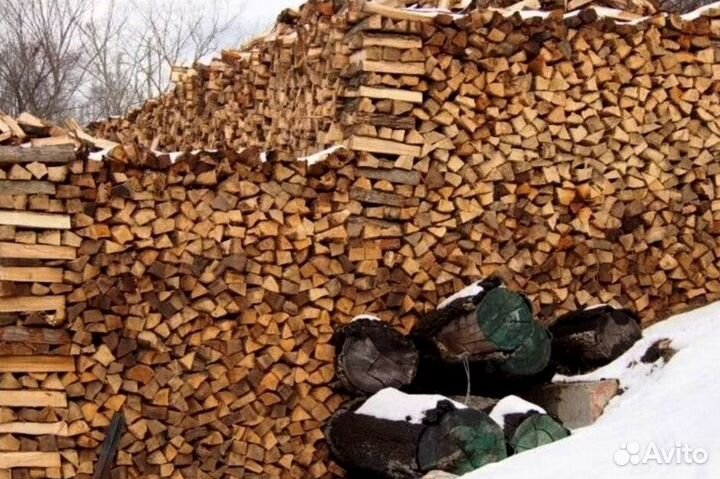 Дрова в СПБ