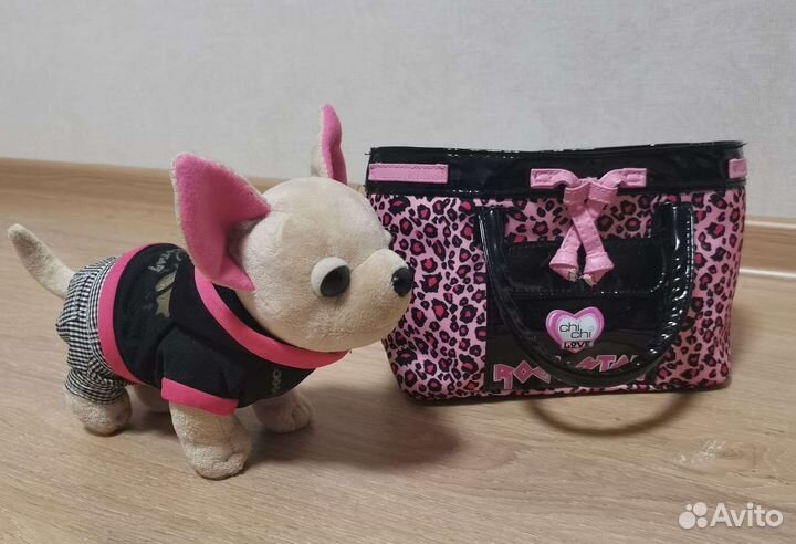 Собака Chi Chi Love (Рок Звезда) в сумочке