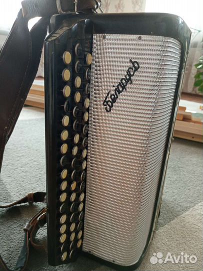 Баян Беларусь