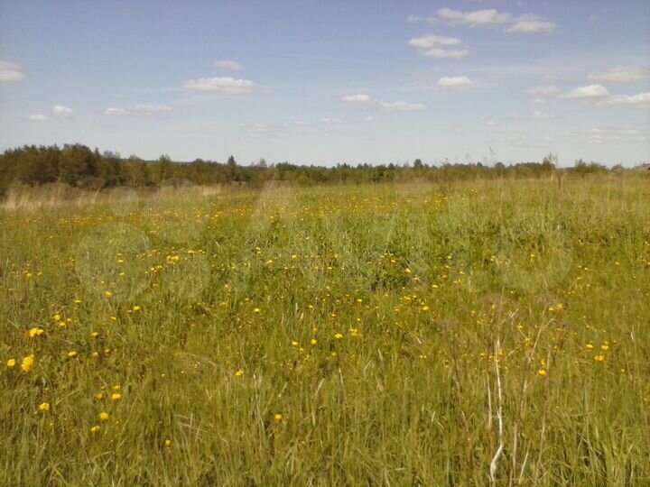 Участок 40 сот. (ИЖС)