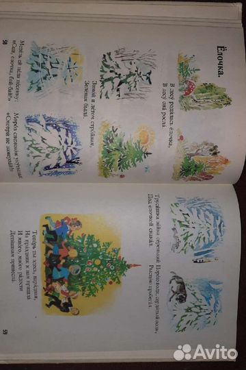 Русский язык в картинках