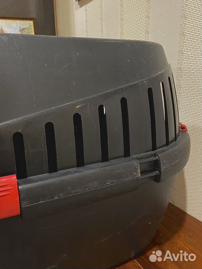 Переноска для кота кошек собак