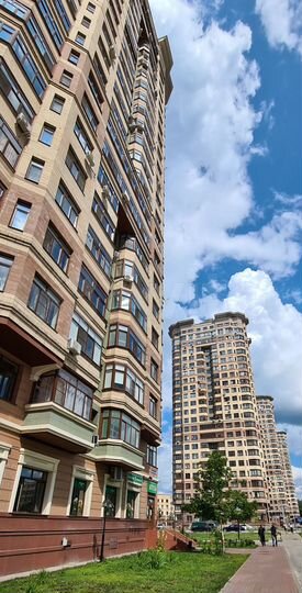 1-к. квартира, 49,3 м², 19/22 эт.