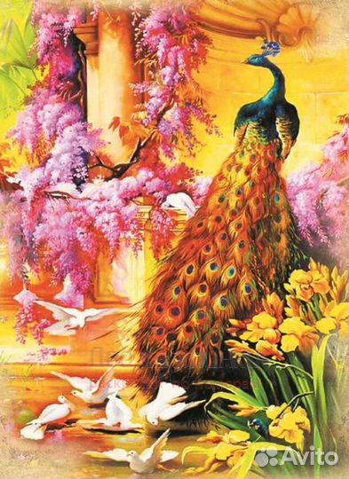 Алмазная мозаика 30x40 Роскошный павлин и белые го