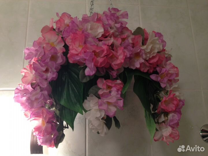 Цветы лиана фрукты в подвесном кашпо