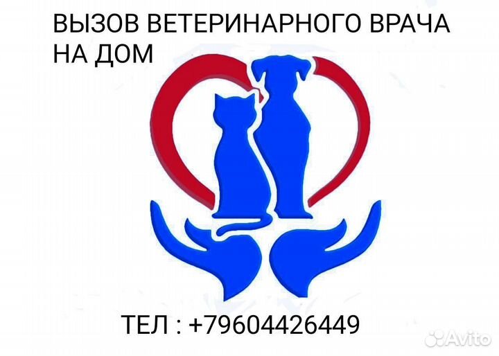 Вызов ветеринара на дом