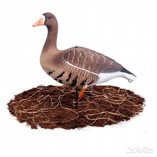 Чучела гусей белолобый softplast 3D