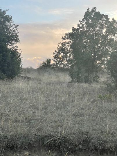 Участок 7,5 сот. (СНТ, ДНП)