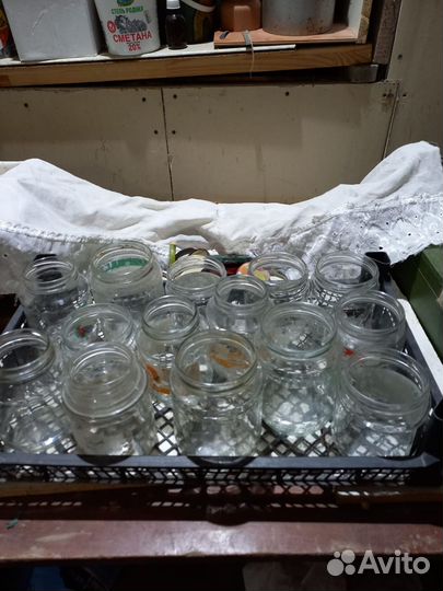 Банки, бутылки стеклянные с винтовой крышкой