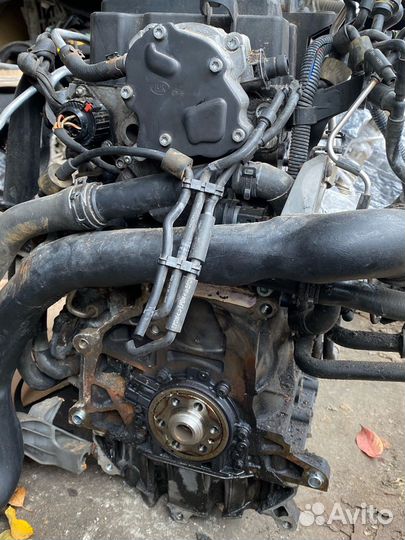 Двигатель Passat B6 1.9 2006-2007 BLS