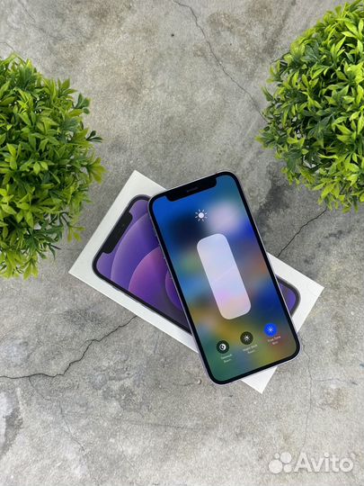 iPhone 12 mini, 256 ГБ