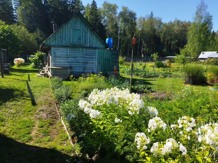 Дача 50 м² на участке 18 сот.