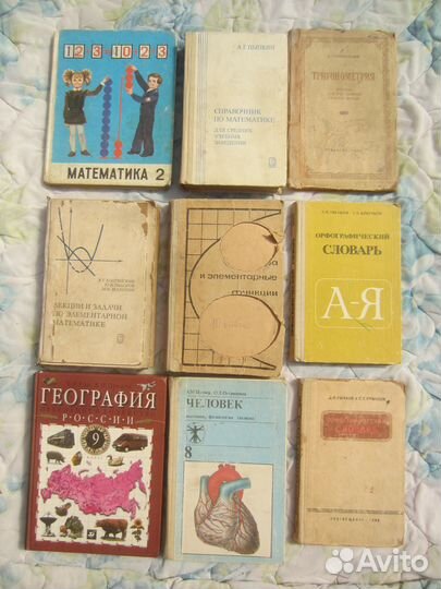 А.М. Цузмер. О.Л. Петришина. Человек. Анатомия