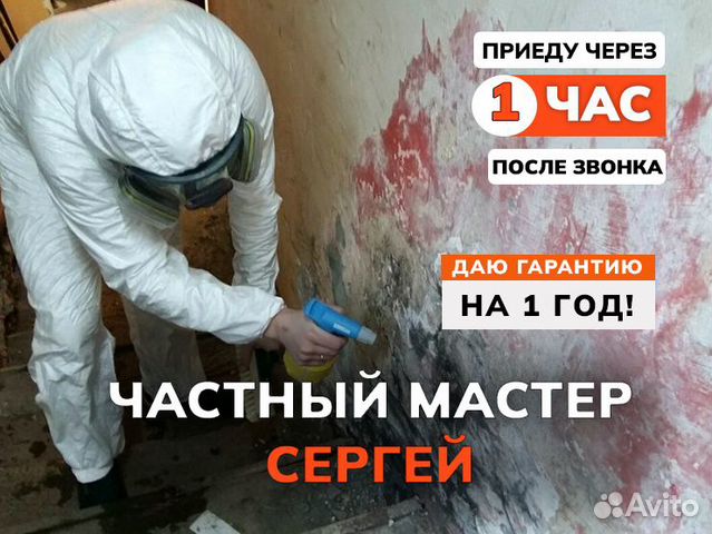 Удаление грибка плесени устранение запахов озоном