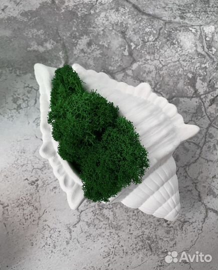 Гипсовое кашпо со мхом и без, подарок