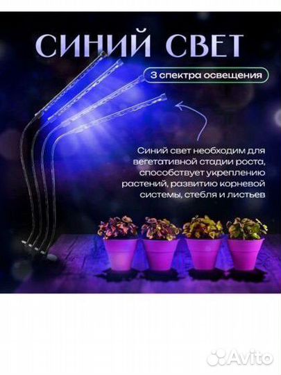 Фитолампа для растений