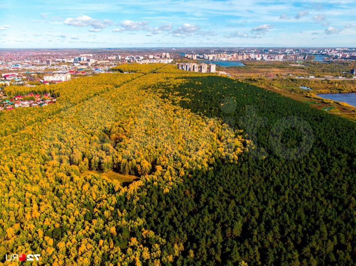 3-к. квартира, 81,5 м², 22/23 эт.