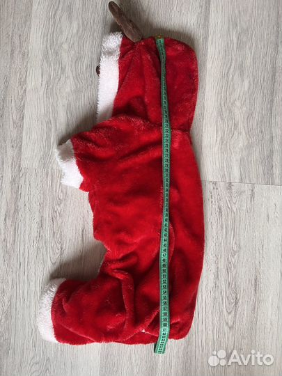 Костюм для собаки