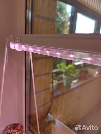 Фитолампа Uniel полного спектра 10Вт