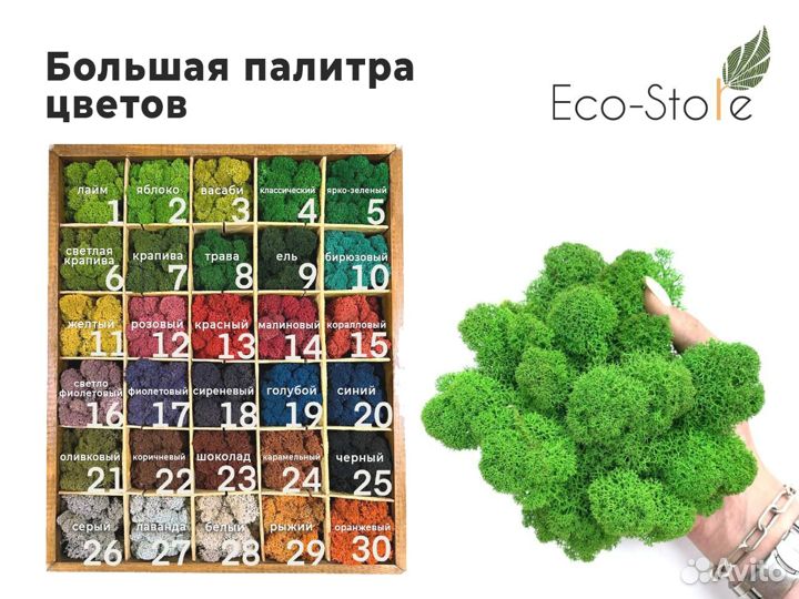 Панно из мха с вывеской