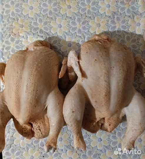 Домашнее мясо кур