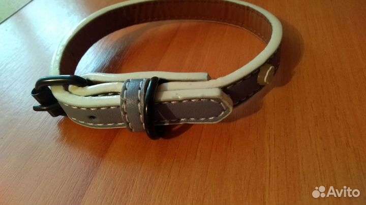 Ошейник для собаки, Жетончики