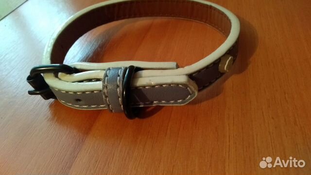 Ошейник для собаки, Жетончики