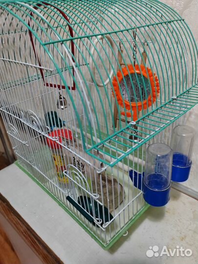 Клетка для попугая