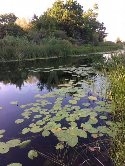 Участок 42 сот. (ИЖС)