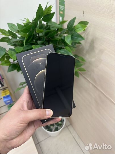 iPhone 12 Pro Max, 256 ГБ