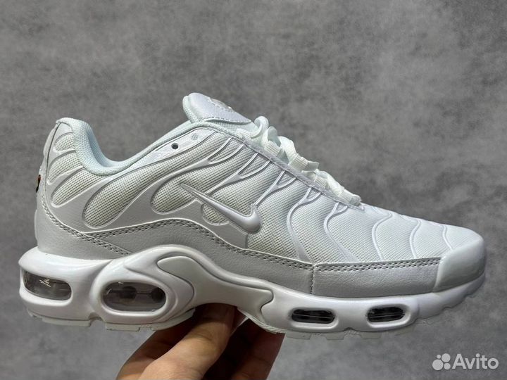 Кроссовки Nike Air Max Tn Plus