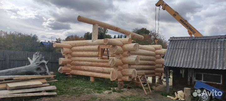 Сруб из бревна