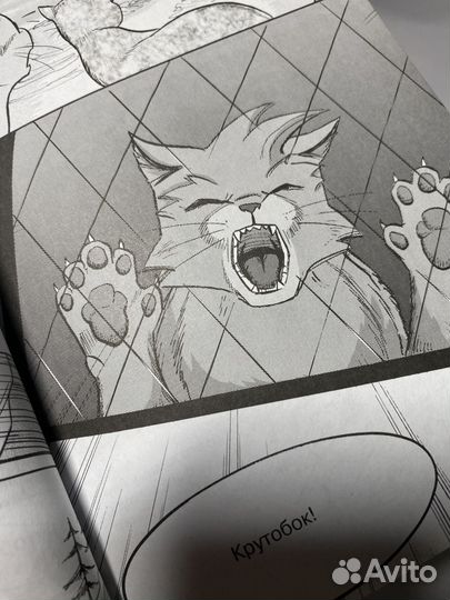 Коты-Воители, манга: 1 Выпуск. Крутобок и Бич