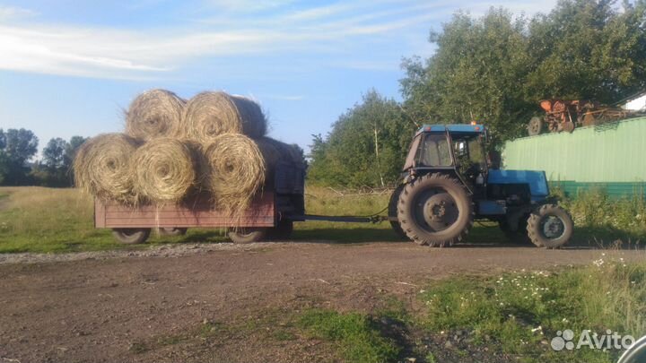 Сено в тюках