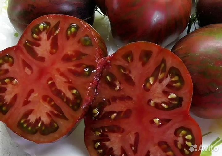 Семена томат помидор