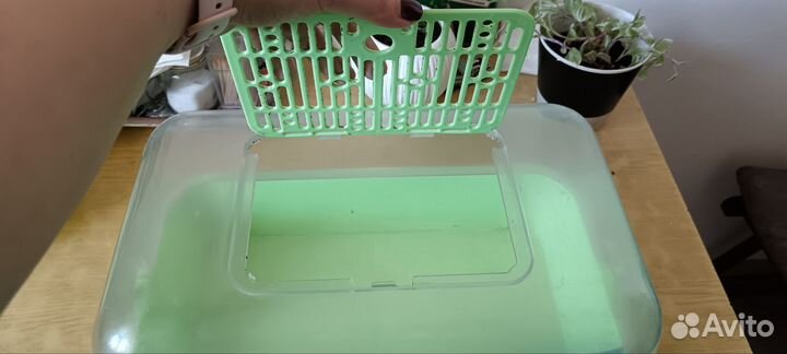 Террариум для улиток