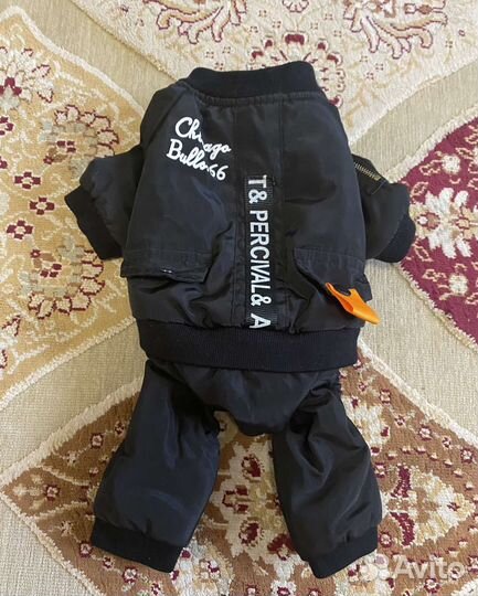 Продам комбинезон для собаки