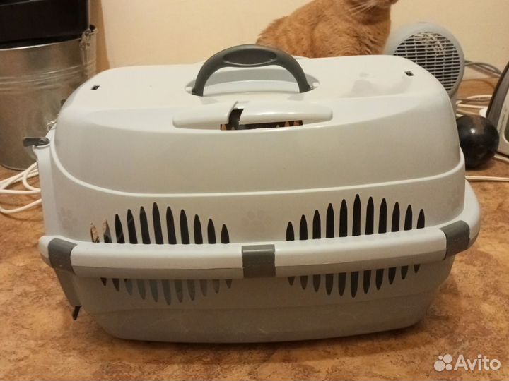 Кошачий набор