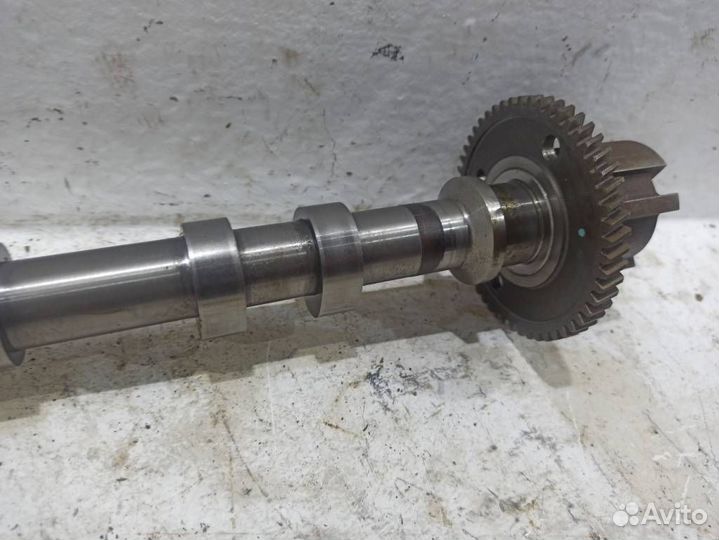 Распредвал выпускной 68147409AA