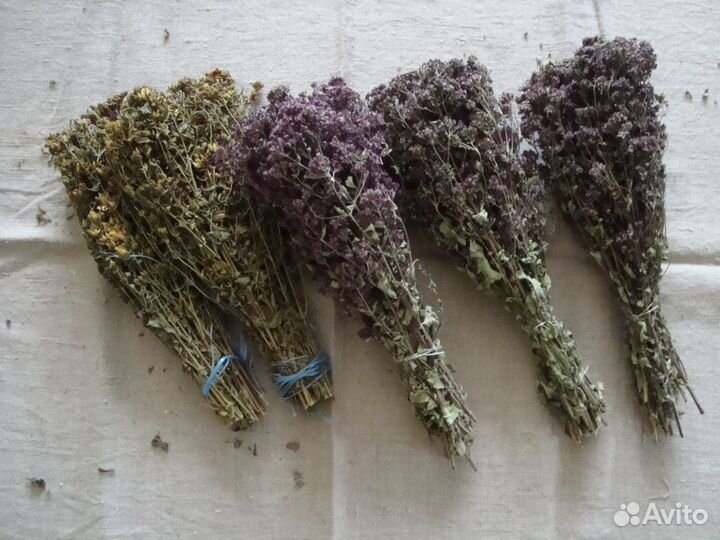 Лекарственные травы и плоды