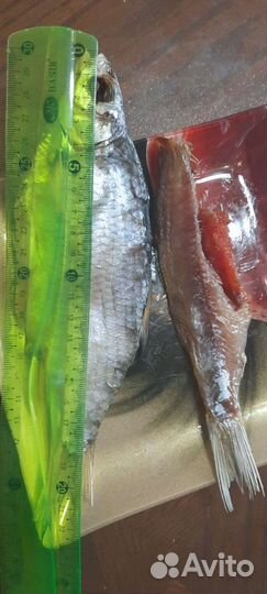 Астраханская вобла вяленая, рыбец