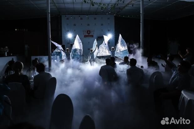 Шоу программа на праздник