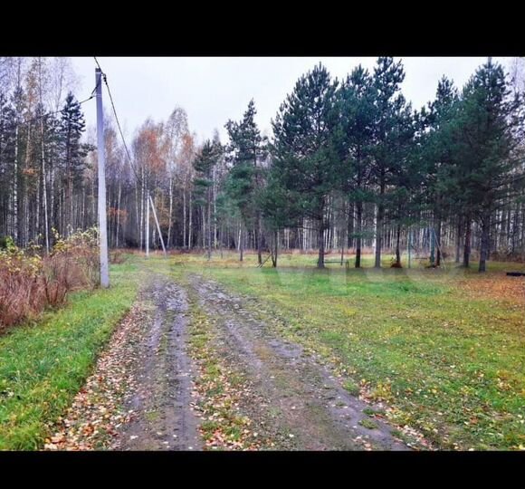 Участок 13 га (СНТ, ДНП)