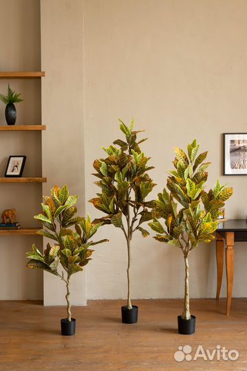 Искусственное дерево Кротон