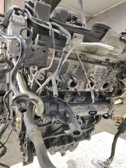 Двигатель CBD Volkswagen Passat 6 (2005-2010)