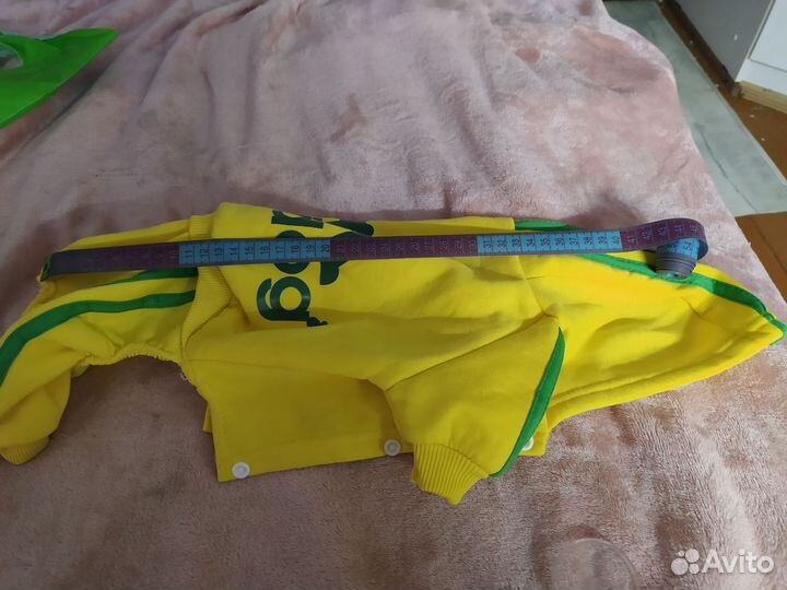 Одежда для собак мальчик