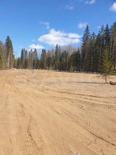 Участок 6,6 сот. (СНТ, ДНП)