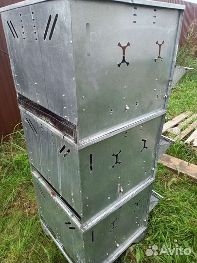 Перепелиные Клетка