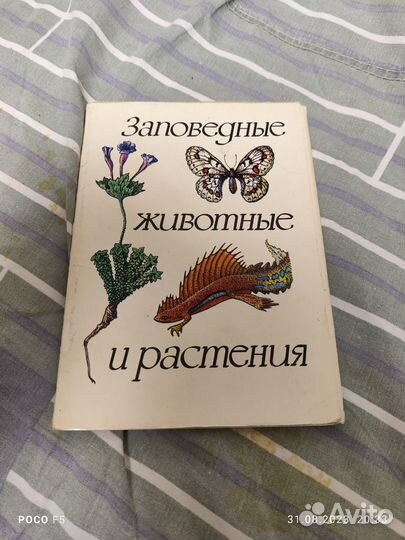 Открытки чистые серии 1976-1982